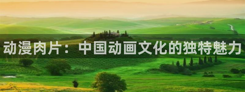 动漫omofun下载：动漫肉片：中国动画文化的独特魅力