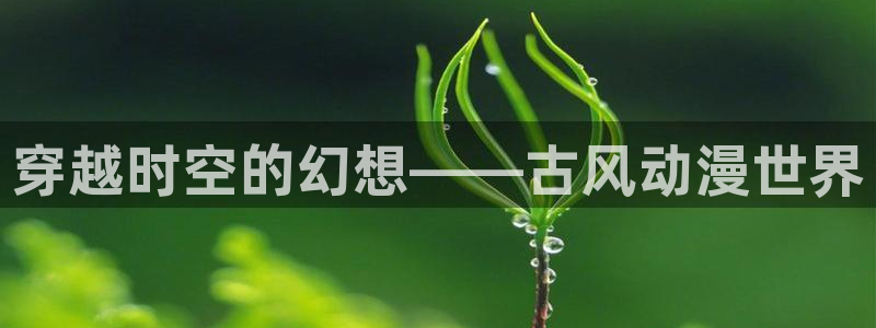 omofun.oni：穿越时空的幻想——古风动漫世界